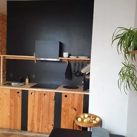 Apartmán Den Gulden Hoorn *